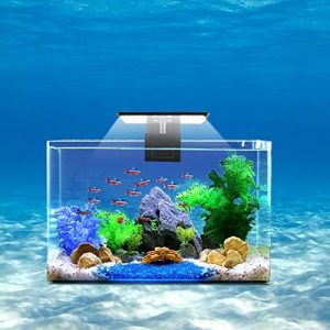 Akvarielamper |   Akvarielampe Fishtank LED-lampe 6W 12 LED Planteklipslampe til 8-15 tommer 6 mm tykke akvarier