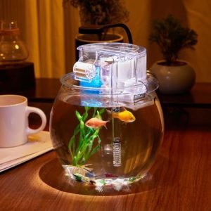 Akvarier og fiskeskåle |   1 Gallon Akvarium Lille Fisketank Brudsikker Plast Betta Fisk Skål Pet Klar Rund Skål Terrarium Skrivebord Gylden Fisketank Med Filter Og Lys