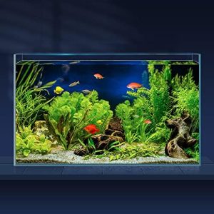 Akvarier og fiskeskåle |   10 Gallon Ultra Clear Glas Fishtank, Rimless Low Iron Akvarium til Betta/Nano/Guldfisk/Snegle/Rejer, Stort Fishtank & Dæksel Sæt & Foder Ring & Rengøringsværktøjer