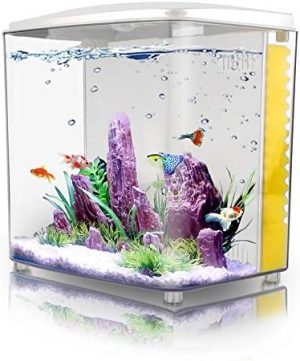 Akvarier og fiskeskåle |   1,2 Gallon Betta Akvarium Startpakker Kvadratisk Fisketank Med LED Lys Og Filterpumpe