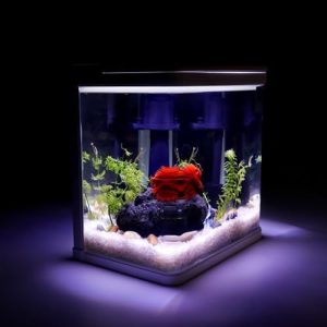 Akvarier og fiskeskåle |   2 Gallon Betta Fisketank, Lille Fisketank Med Filter Og Lys, Selvrensende HD Float Glas Tank 3 I 1 Akvarium, Skrivebords Fisketank Til Guppy, Rejer, Guldfisk (Hvid)