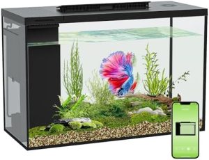 Akvarier og fiskeskåle |   4,5 gallons Betta fisketank selv-rensende, akvariesæt smart akvarium der understøtter Bluetooth, lille fisketank med filter, lys og vandpumpe, fisketank startkits fiskeskål (akvarium)