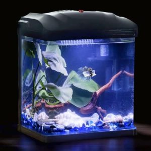 Akvarier og fiskeskåle |   Betta Fisketank, 2 Gallon Glasakvarium, Lille Fisketank med Filter og LED Plantebelysning, Betta Reje Guppy Manet Starter Kit Selvrensende Tank, Ultra Stille Dekoration Børneværelse Gave (Sort)