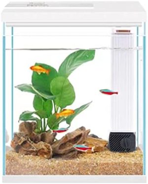 Akvarier og fiskeskåle |   Betta Fisketank, 2 Gallon Glasakvarium Startpakke, Lille Fisketank Med Filter Og Lys.