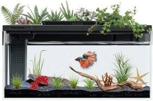 Akvarier og fiskeskåle |   Betta Fisketank Selvrensende, 15 Liter Akvarium Sæt Smart Akvarium, Lille Fisketank Med Filter Lys Vandpumpe, Fisketank Startkits Fiskeskål