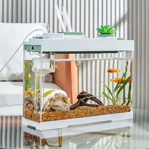 Akvarier og fiskeskåle |   Bordplade Opbevaring Fishtank Ekstremt Smal Bordplade Fishtank 2 Gallon Fishtank (9L) Højdefinition Akryl Fishtank Udstyret Med Stille Pumpe Filtreringssystem Og LED Lys (Grønnere)