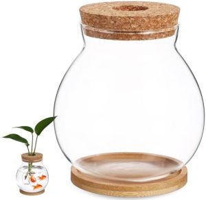 Akvarier og fiskeskåle |   Desktop Fish Bowl: Klar glas akvarium sæt med trælåg og pude, lille fisketank til planteformering, hydroponisk mini terrarium vase til små betta fisk og planter.