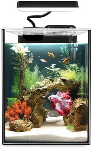 Akvarier og fiskeskåle |   Glas Betta Akvarium Startpakker 1,5 Gallon Lille Fisketank, Betta Fisketank Med LED Lys, Power Filter, Sort. 4Mm Glas