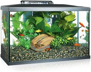 Akvarier og fiskeskåle |   LED Akvarium Sæt, 10 Gallon