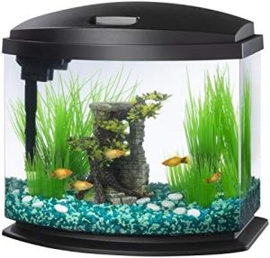 Akvarier og fiskeskåle |   Led Minibow Lille Akvariefisk Tank Kit Med Smartclean Teknologi, Sort, 5 Gallon