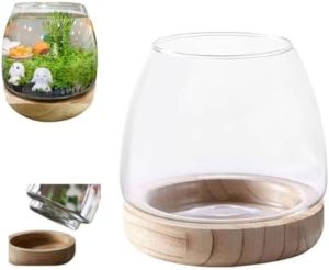 Akvarier og fiskeskåle |   Rund Akvarium, Betta Fisk Skål Glas, Guldfisk Boble Skål, Glas Potte Til Planter, Hydroponisk Plante Akvarium Fiskeskål Aftagelig Træbund, Lille Terrarium Blomster Vase, Centerpieces Skrivebords Dekor.