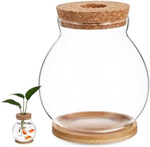 Akvarier og fiskeskåle |   Vandplanteholder Fiskeskål Plante Terrarium Formering Terrarium Fisk Akvarium Terrarium Beholder Luftplanteholder Skrivebordsakvarium Skildpaddebeholder Fisketank Bambus Opdrætstank