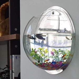 Akvarier og fiskeskåle |   Væg Fisk Skål Væg Fisk Boble Hængende Klar Akryl Betta Fisk Til Tank Vægmonteret Akvarium Vægplante Planter Akvarium Til Skildpadder 3 Gallon