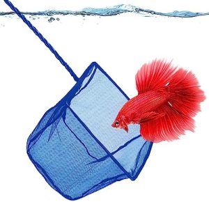 Akvarierensere |   Betta Fisk Net, Sikker Delikat Fin, 5X4 Tommer Med 11 Tommer Håndtag, Ekstra Blødt Nylon Net, Nem Rutinemæssig Akvarium Tank Vedligeholdelse, Fisketank Udstyr