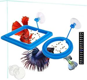 Automatiske fodermaskiner |   2 stk. Fiskefoder Ring, Fiskesikker Flydende Foder Cirkler Blå, Med Sugekop Nem At Installere Akvarium, Firkantet Og Rund Form Fisketank Håndklæder – Til Guppy, Betta, Guldfisk, Mm. (Blå)