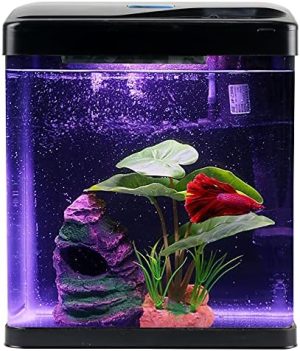 Akvarier og fiskeskåle |   Betta Fiskebowl Selvrensende Glas 2 Gallon Lille Nano Akvarium Startpakker Skrivebordsindretning med LED Lys Dekorationer & Whisper Filtre Vandpumpe (Fiskebowl)