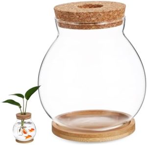 Akvarier og fiskeskåle |   Terrarium Beholder Guldfisk Skål Betta Fisk Skål Hydroponisk Terrarium Vase Hydroponisk Plante Terrarium Plante Stativ Fisketank Glas Fisk Skål Med Låg Kontor Dild Bambus